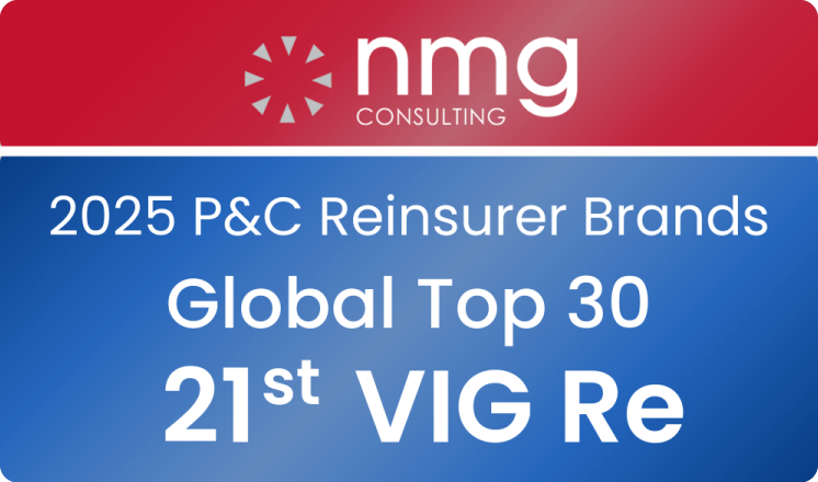 P&C reinsurer brands